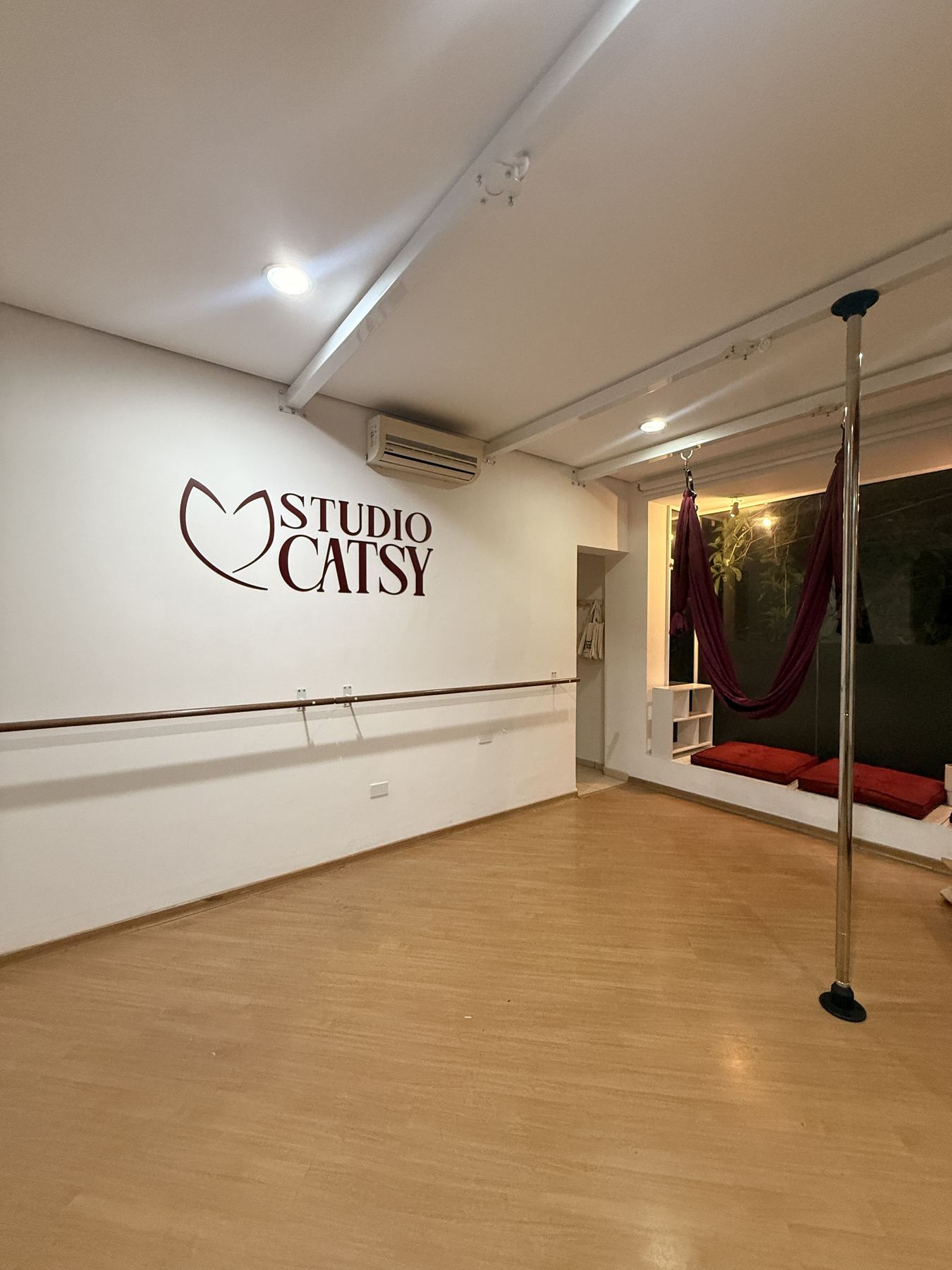 Interior do Studio Catsy, com piso de madeira, barra de ballet, pole e tecido aéreo